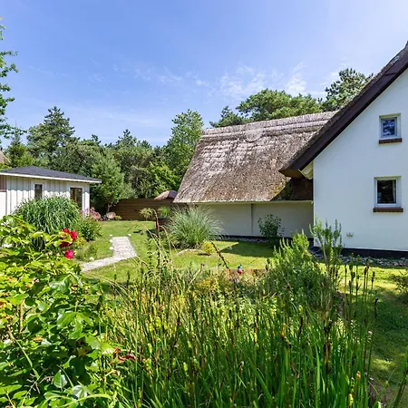 Aloha Hale فاستروم